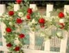 10PCS 6.8ft 인공 장미 화환 실크 꽃 덩굴 아이비 홈 웨딩 정원 장식