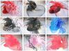 Mini Lady Veil Feather Hat Rose Hairpin Party Costume Cocktail Fascinator 40st / Lot # 2089