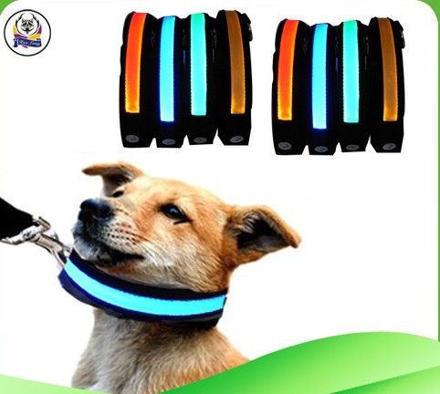 Najnowszy Pet Dog Safety Collar LED Light-Up Miginga Glow In The Dark Necklace Collars Darmowa wysyłka