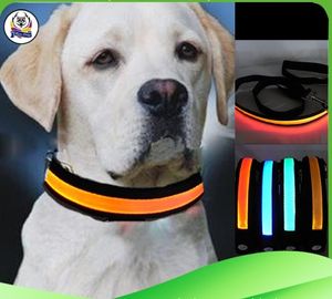 newest pet dog safety collar led lightup flashing glow in the dark necklace collars free