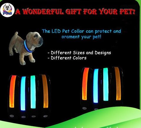 mais novo colar de segurança para cães de estimação led lightup piscando brilho no escuro colares grátis