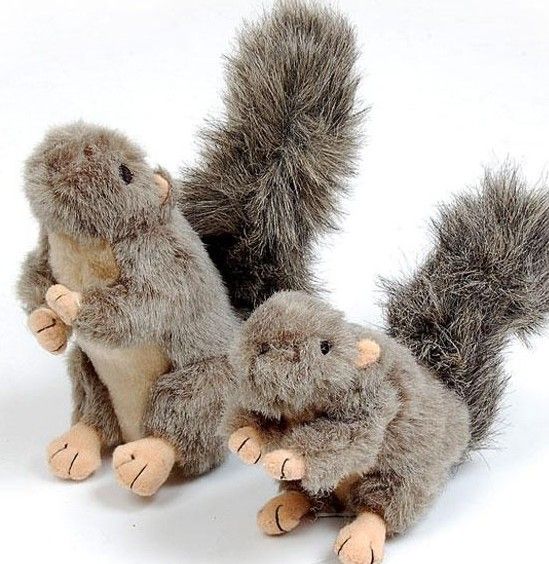 Plush Squirrel Dog Toys Squeaker Dog Pet Toy Voice Dog Toys From