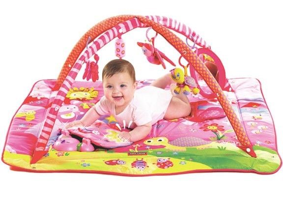 gymini deluxe 3d activity gym