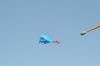 Gratis frakt !! 2,1 m 3d stor parafoil whale kite / blue a ++++