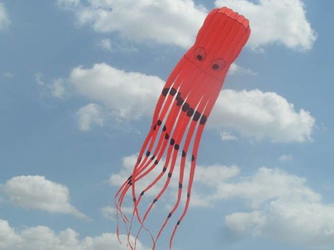 3D 26ft 8m single Line Stunt red Parafoil Octopus POWER Sport Kite outdoor toy