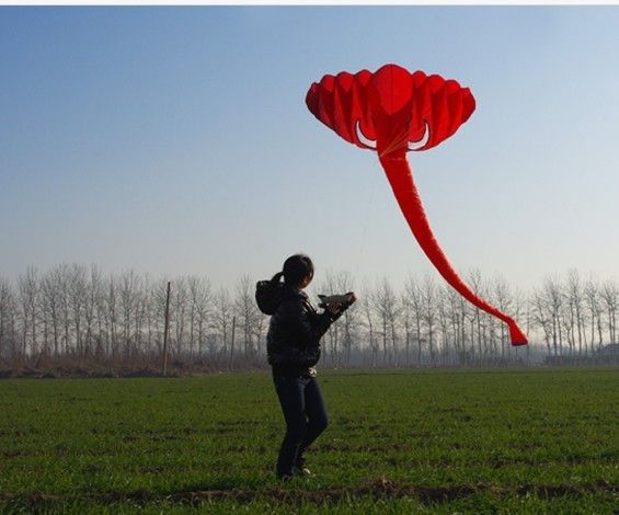

Free Shipping! Free Shipping!!3.8 m single Line Stunt The elephant POWER Sport Kite