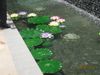 Konstgjord silke lotus blomma blad Stor storlek Lotus blad flytande vatten växter 20st