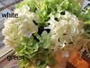 Trevlig 20p silke artificiell hortensia pincushion laurustinus blomma singel stam per bush bröllop hem parti dekorativa blommor