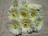 Silk Gerbera Flower Heads 30pcs 10cm Silk Konstgjorda Daisy Blommor för DIY Brosch Smycken Bröllop Dekorativa Blommor