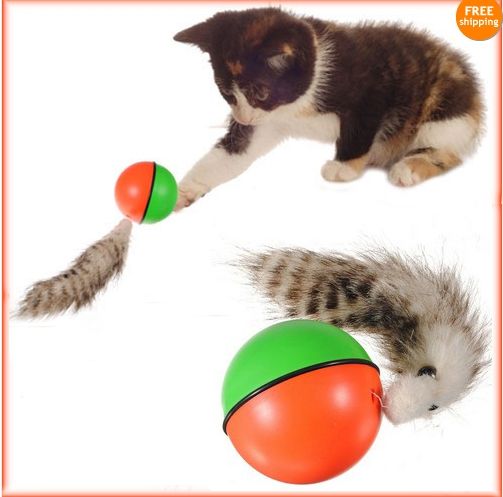 cat ball chaser toy