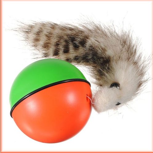 cat ball chaser toy