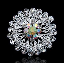 Silver Plated Alloy and Clear Rhinestone Crystal Diamante Brooch Pin