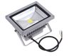 Ultra Bright 30W 2700lm LED LEDLIGHT LANDSCAPE LIGHING LED WALE LIGHT Light Spotlight 85-265V Cool White