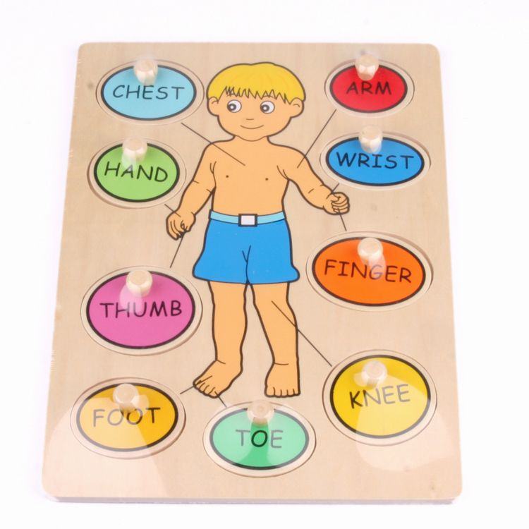 Human Body Systems Games For Kids Human Body Systems Games For Kids