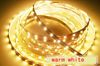 250 Meter DHL ship 3528 SMD LED strip light yellow red blue cool white warm white green 60leds/m nonwaterproof 5m/roll IP35 Discounted Price