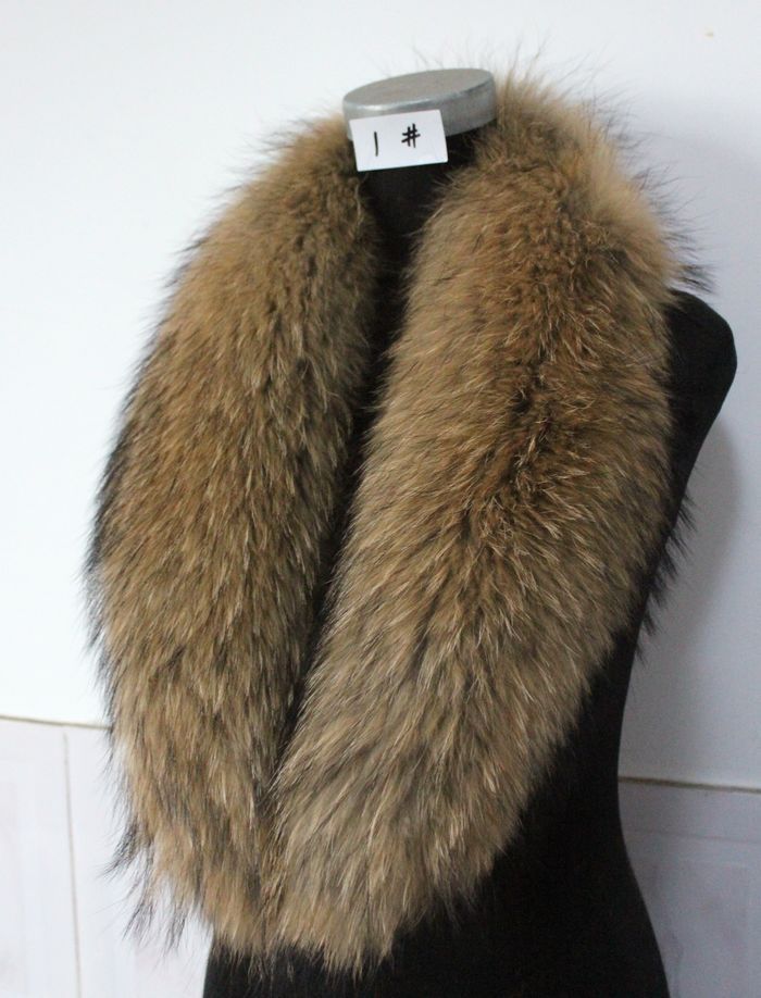 Is Natural Selection Fur Real Is Natural Selection Fur Real
