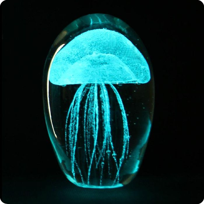 2018 Manual Coloured Glaze Jellyfish Night Light With Changing Color 2018 Manual Coloured Glaze Jellyfish Night Light With Changing Color Led Base N Gift Box From Linktone 19 91 Dhgate Com