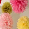 Party / Semester / Bröllop / Alla hjärtans dag Pom Pom Blooms 10 "Tissue Paper Pom Poms Flower Balls