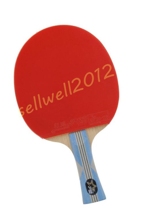 DOUBLE HAPPINESS SPORTS 6002 Table Tennis Racket Ping Pong Paddle 6