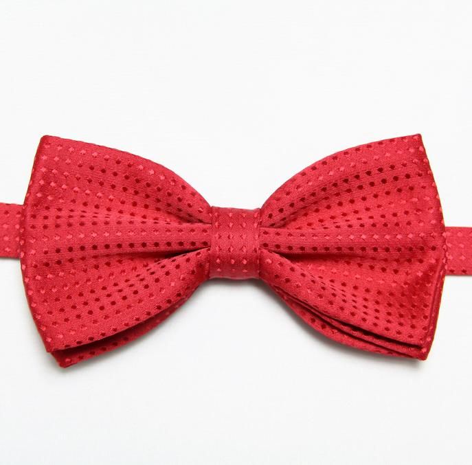 Mens Bowties Dot Bow Tie Knots Neckties Cravat Blue Ascot 6 From