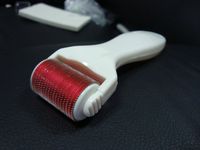 Wholesale mini order of Titanium needle Body Derma Roller titanium dermaroller skin beauty roller