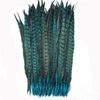 100pcs lot 12-14inch turquoise Ringneck Pheasant Tail Feathers Costume feather pheasant feather for craft157W