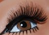 Wholesale - 600pairs/lot thicken False Eyelashes Fake Eye lashes Eyelash Extension synthetic fi