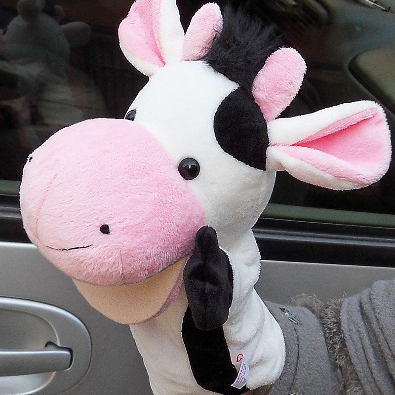 nici animals