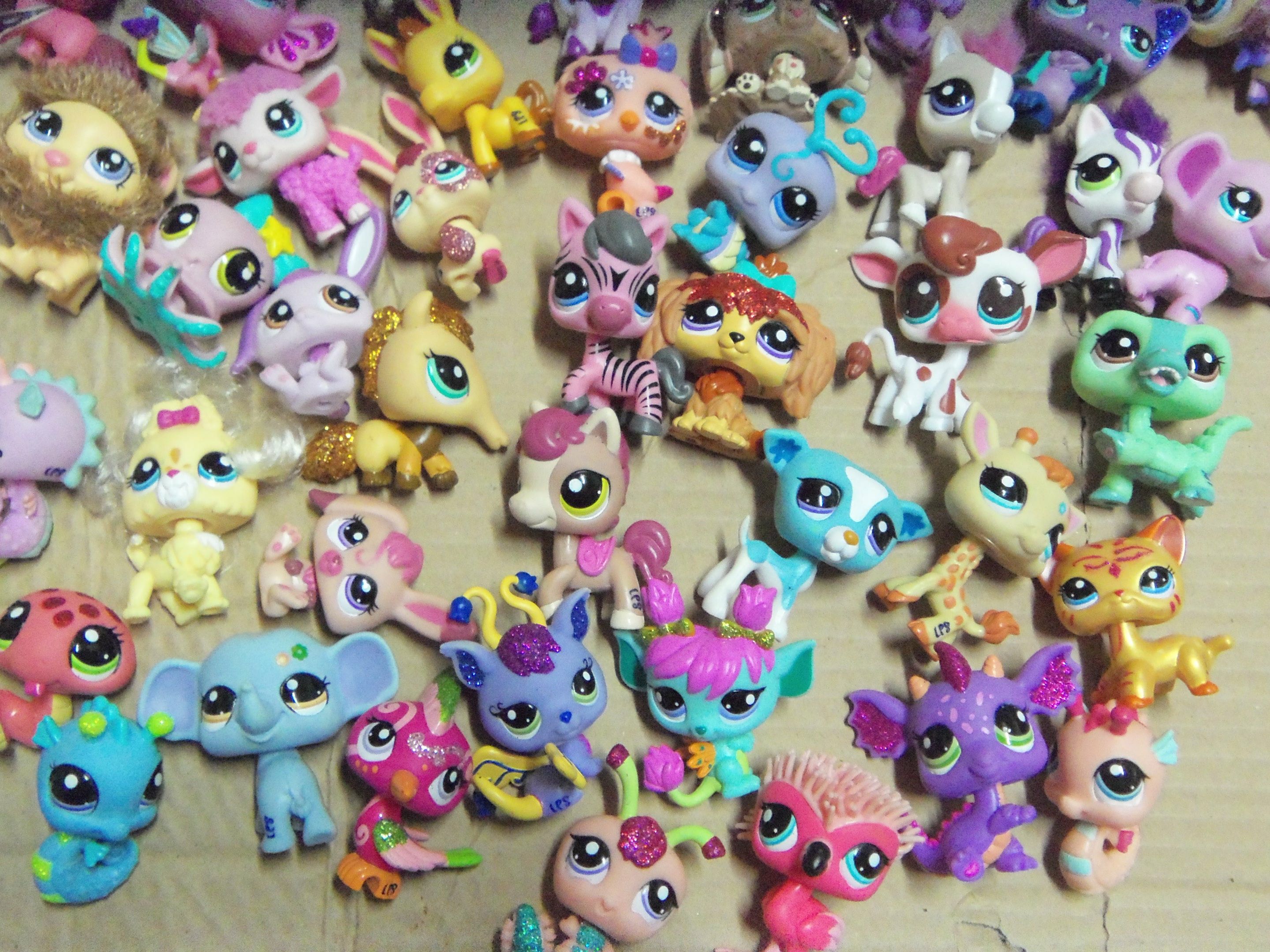 the pet set toy
