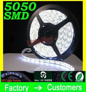 50M 50 metri Caldo puro / Bianco freddo 5M Impermeabile 5050 SMD Striscia LED 300 LED blu caldo rosso giallo verde tramite nave DHL