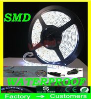 Wholesale 30M Meter Flexible Waterproof LED Strip SMD red blue warm white LED Strip Light with connector power supply A by DHL ship