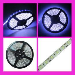 100M 20 rolls High power 100W Bright 5M 300 Led 5630 SMD cool White warm white Flexible LED Strip Light Waterproof IP65 12V