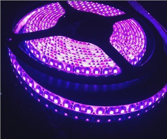 purple led strip light 5M 16FT 3528 SMD super bright 48W Waterproof Flexible Strip 12V 120led/M