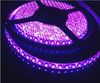 purple led strip light 5M 16FT 3528 SMD super bright 48W Waterproof Flexible Strip 12V 120led/M