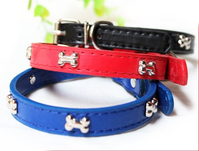 dog and cat collars