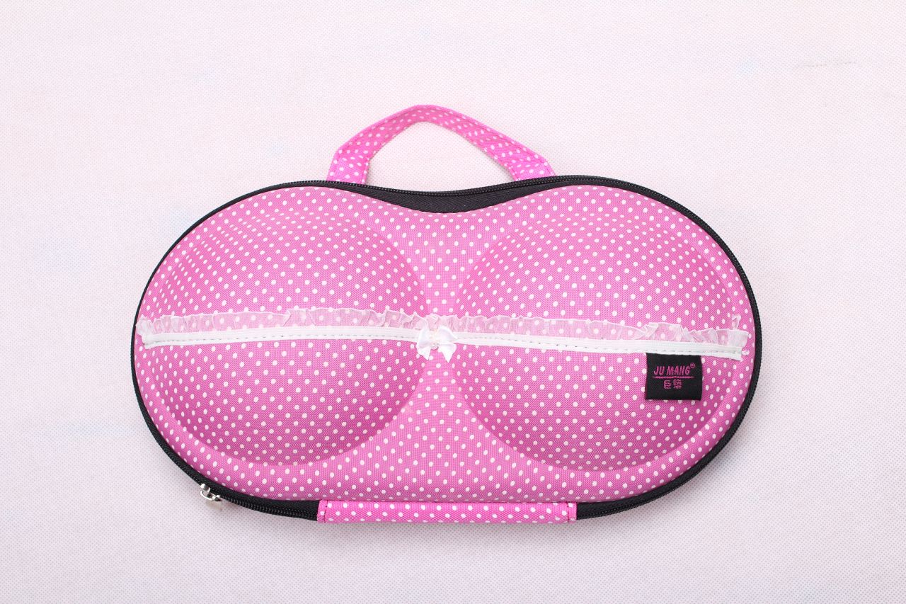 bra travel bag