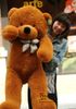 Sıcak yeni Büyük 1.6 Metre Teddy Bear Severler Büyük ayı Arms Doldurulmuş Hayvanlar Oyuncaklar Peluş Bebek perakendeler sevgililer hediye yeni Yıl hediye