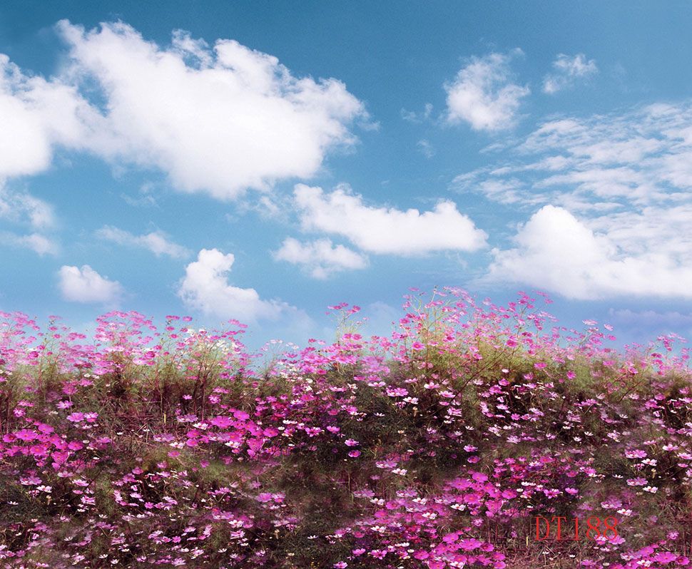 2018 Wholesale Vinyl Custom Photography Prop Photo Background Backdrop