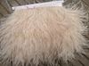 Free Shipping-10 yards/lot ivory ostrich feather trimming fringe 5-6inch in width for crafts weddings sewing