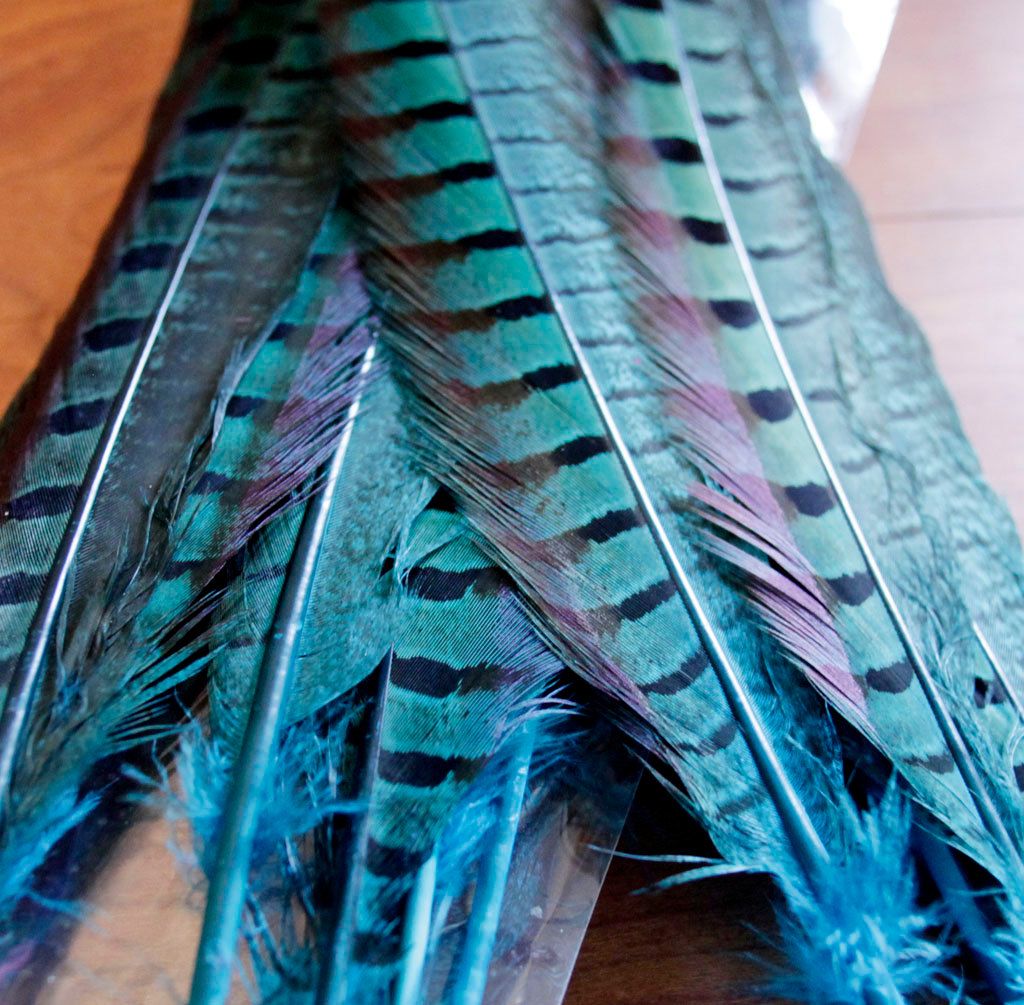 ロット12-14inchターコイズリングネックキジ尾羽costume feather feather feather for Craft174r