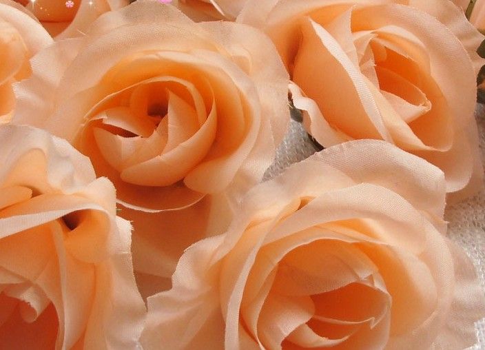 CAMPAGNE COLORE SILK CAMELLIA ROSE 100 pezzi Diametro 7-8 cm Fiori artificiali Tessuto peonico Capo Fagro Camelia bouquet da sposa fai-da-te