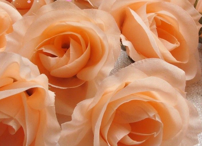 Champagne färg söt 100st diameter 7-8cm konstgjorda Camellia Rose tyg Camellia blomma huvuden