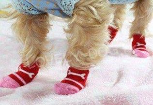 Envío gratis mezclado S M L color Diseño de moda calcetines para perros / = / Ventas calientes