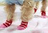 Free shipping mixed S M L color Fashion Design pet Dog Socks 40pcs/lot=10sets/lot Hot sales