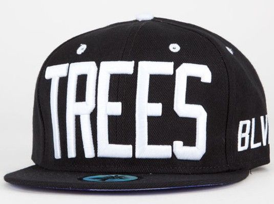 blvd snapback