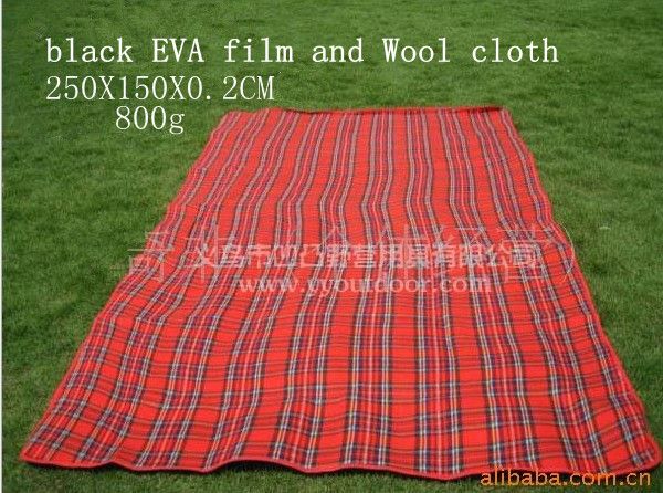 biggest picnic blanket