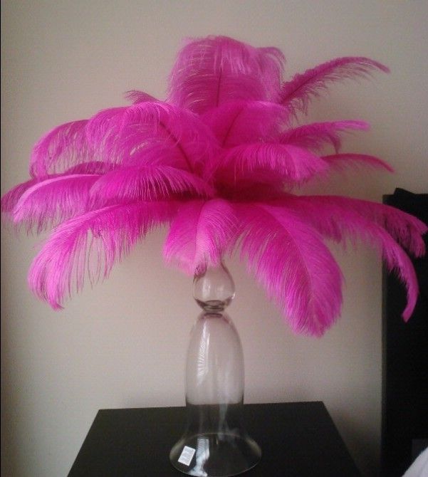fuchsia ostrich feathers