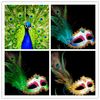 HOT Venetian Masquerade Pheasant Peacock Feather Masks Half Face Masks Ball Party PH1