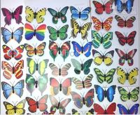 500pcs 7cm Artificial plastics 40 styles Butterfly Fridge magnets home party decoration