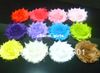 2,5 "Shabby Flower Chiffon Flower Flowers 200PCS / Lot 13 Färger Instock gratis frakt